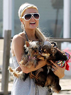 paris_hilton3.jpg